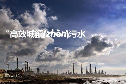 “高效城鎮(zhèn)污水處理流程，守護(hù)碧水藍(lán)天新篇章”